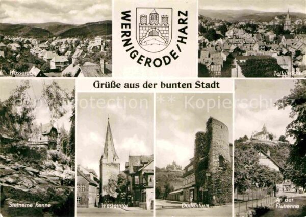 Wernigerode Harz Hasserode Panorama Steinerne Renne West
