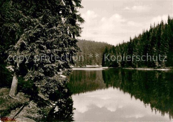 Hahnenklee Auerhahn Am Grumbacher See