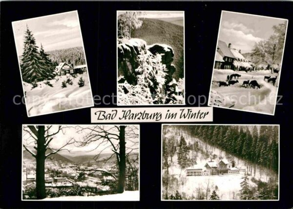 Bad Harzburg Marienteichbaude Rabenklippen Molkenhau