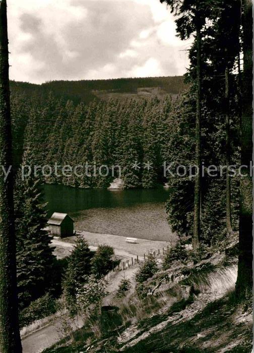 Oberharz Region Schalker Teich