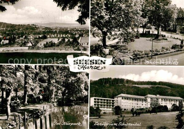 Seesen Harz Panorama Hindenburgplatz Kurpark Sanato