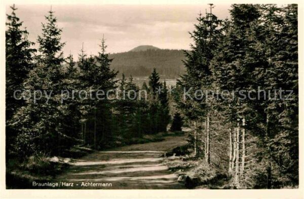 Braunlage Achtermann