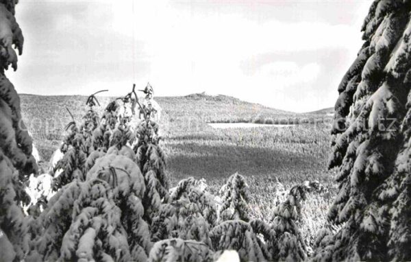 Koenigskrug Harz Achtermann