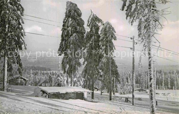 Torfhaus Harz Winter
