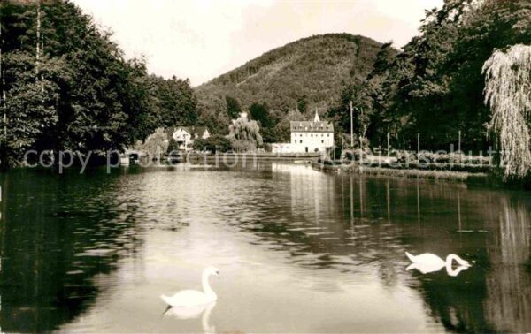 Bad Bergzabern Schwanenweiher Erholungsheim Pfälzer Wa