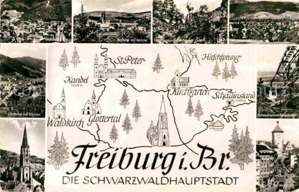 Freiburg Breisgau Waldkirch Kirchzarten Glottertal Hirsch