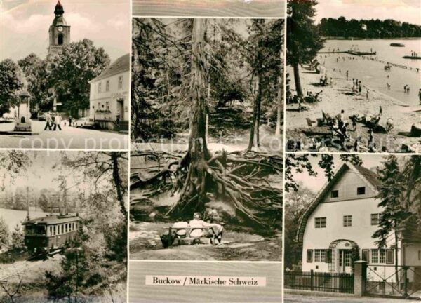 Buckow Maerkische Schweiz Wurzelfichte Strandbad Schermützelsee B