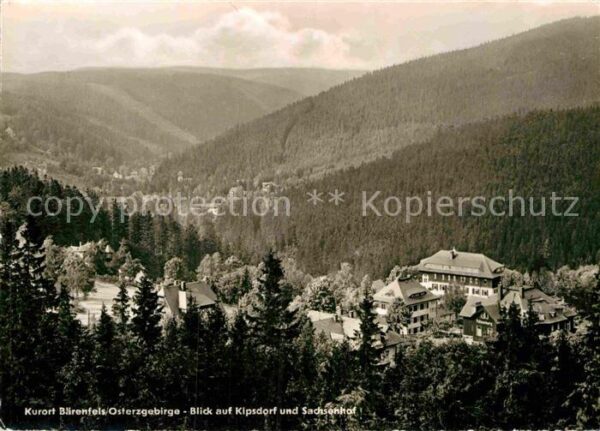 Baerenfels Erzgebirge Kipsdorf Sachsenhof