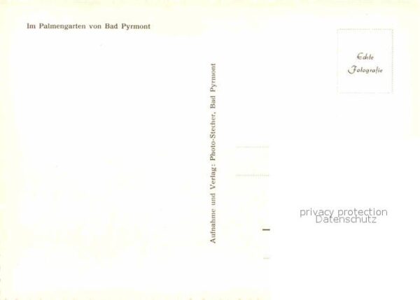 Bad Pyrmont Palmengarten – Bild 2
