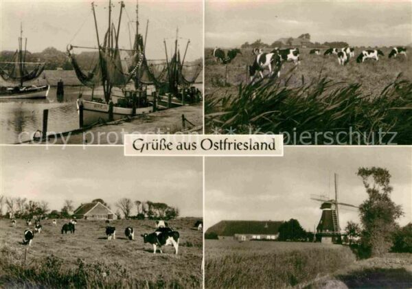 Ostfriesland Fischerboote Kühe Windmühle