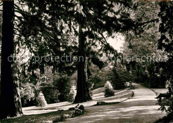 Badenweiler Parkpartie