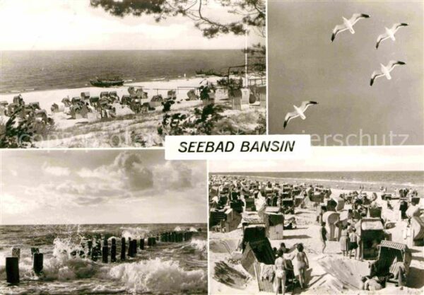 Bansin Ostseebad Möwe Strand