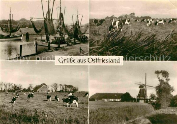 Ostfriesland Fischerboote Kühe Windmühle