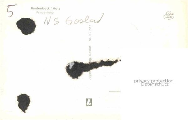 Buntenbock Prinzenteich – Bild 2