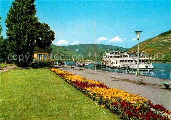 Bingen Rhein Anlegestelle
