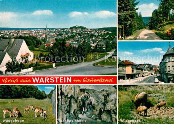 Warstein Teilansicht Wildgehege Tropfsteinhöhle