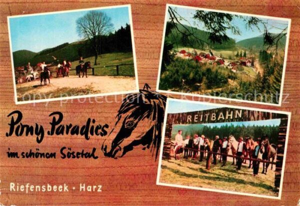 Riefensbeek-Kamschlacken Pony Paradies
