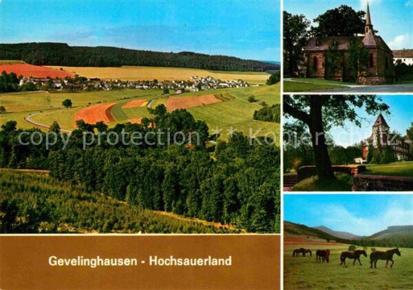 Gevelinghausen Gesamtansicht Kirche Schloss Pferde