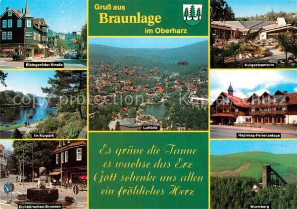 Braunlage Elbingröder Strasse Kurpark Eichhörnche