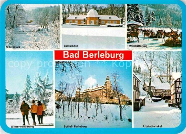 Bad Berleburg Lustschloss Wildfütterung Schloss Berle