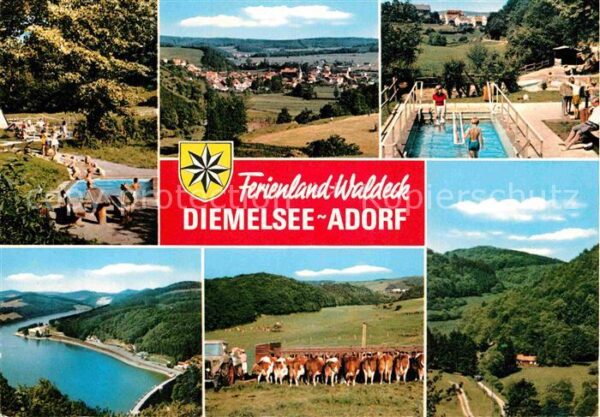 Adorf Waldeck Schwimmbad Kühe