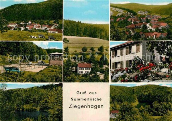 Ziegenhagen Witzenhausen Teil- Vollpension Graf