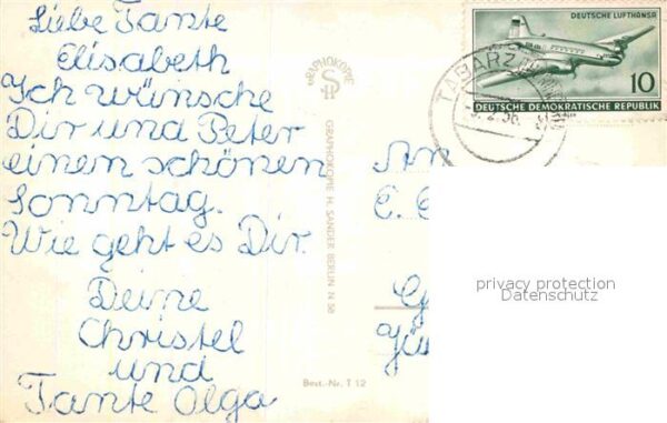 Katzen – Bild 2