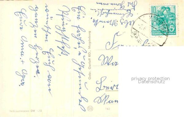 Katzen Angorakatze – Bild 2