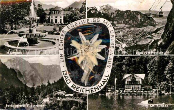 Edelweiss Kurpark Predigtstuhl-Seilbahn Berggasts