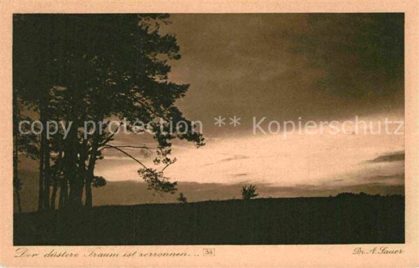 Kuenstlerkarte Dr. A. Sauer Stimmungsbilder Der düster