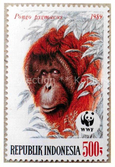 Briefmarken auf Postkarte Borneo-Orang-Utan Indonesia