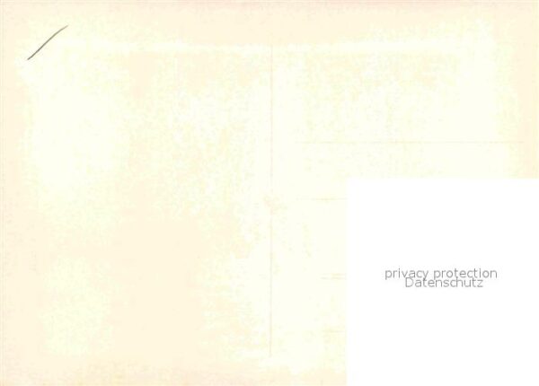 Affen Asien – Bild 2