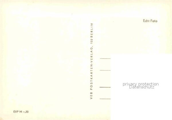 Affen – Bild 2