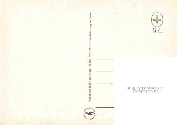 Affen – Bild 2