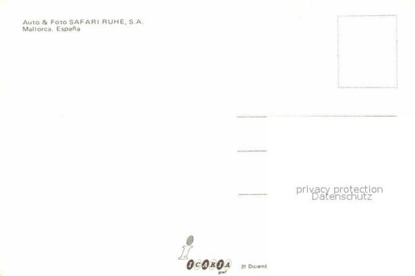 Affen Mallorca – Bild 2