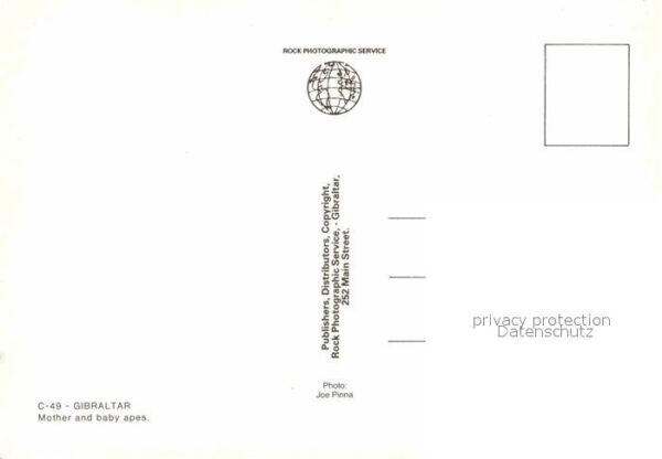 Affen Gibraltar – Bild 2
