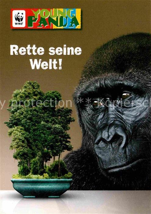 Affen Gorilla Afrika WWF Young Panda