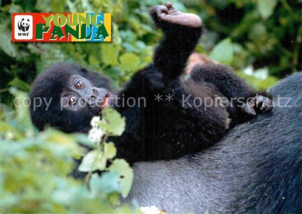 Affen Gorilla-Baby WWF Young Panda