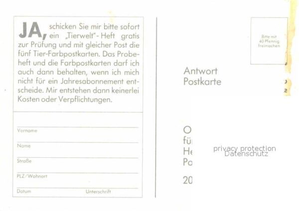 Affen – Bild 2