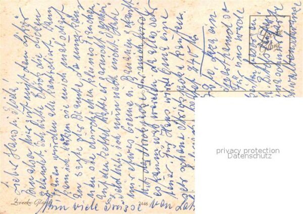 Affen – Bild 2