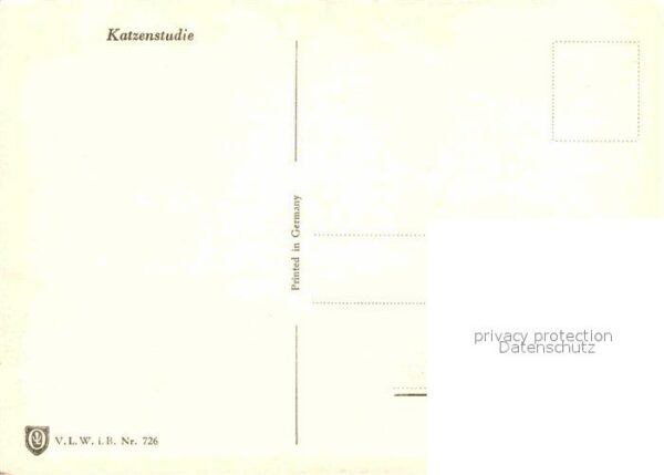 Katzen – Bild 2