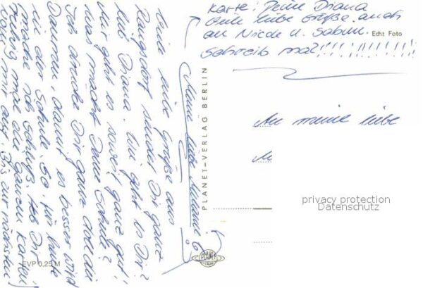 Katzen – Bild 2