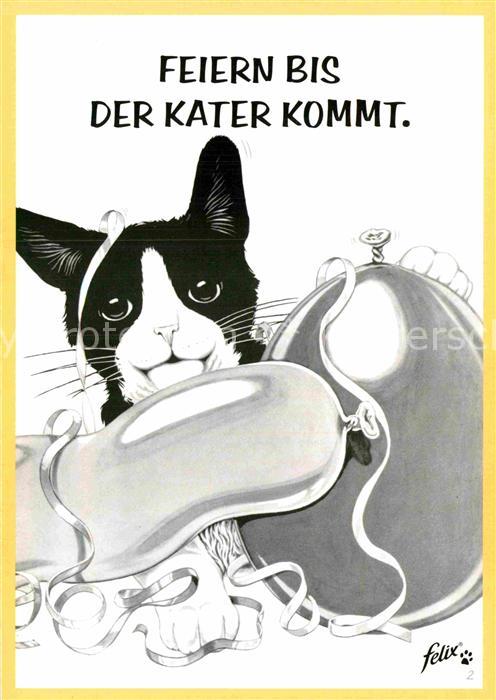 Katzen Werbung Felix