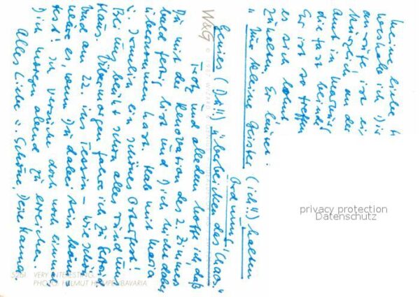 Katzen – Bild 2