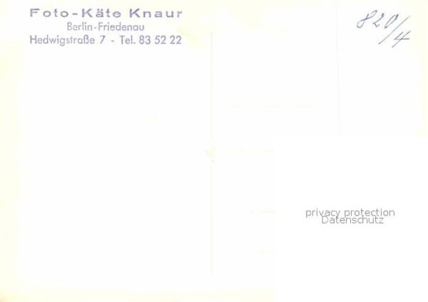 Katzen – Bild 2