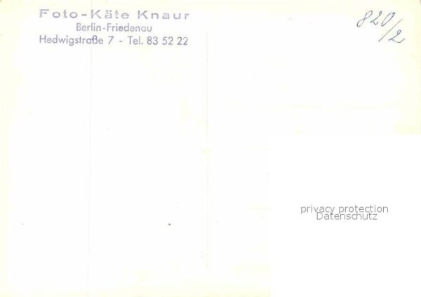 Katzen – Bild 2