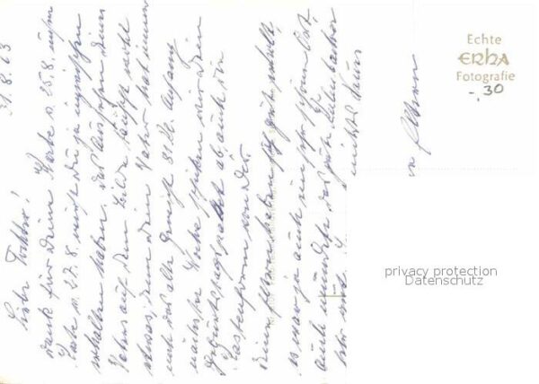 Katzen – Bild 2