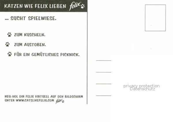 Katzen Werbung Felix – Bild 2