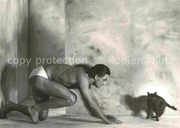 Katzen Christian Coigny