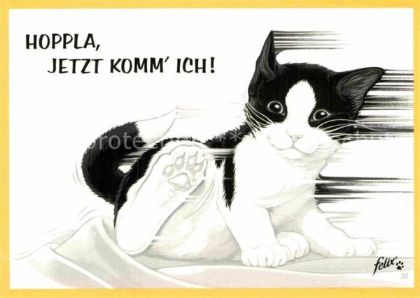 Katzen Werbung Felix